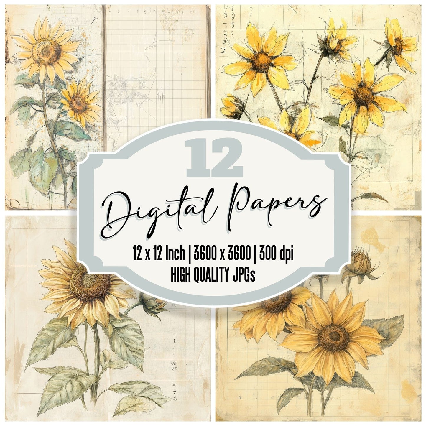 Sketch Helianthus Notepad Digital Paper Pack (DDD003572)