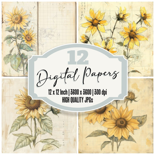 Sketch Helianthus Notepad Digital Paper Pack (DDD003572)