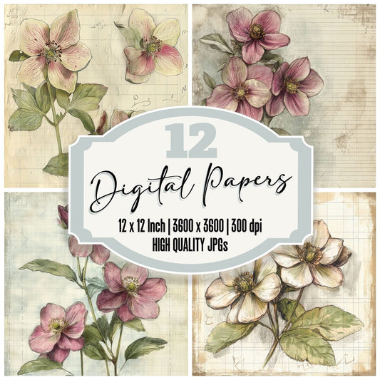 Sketch Hellebore Notepad Digital Paper Pack (DDD003573)
