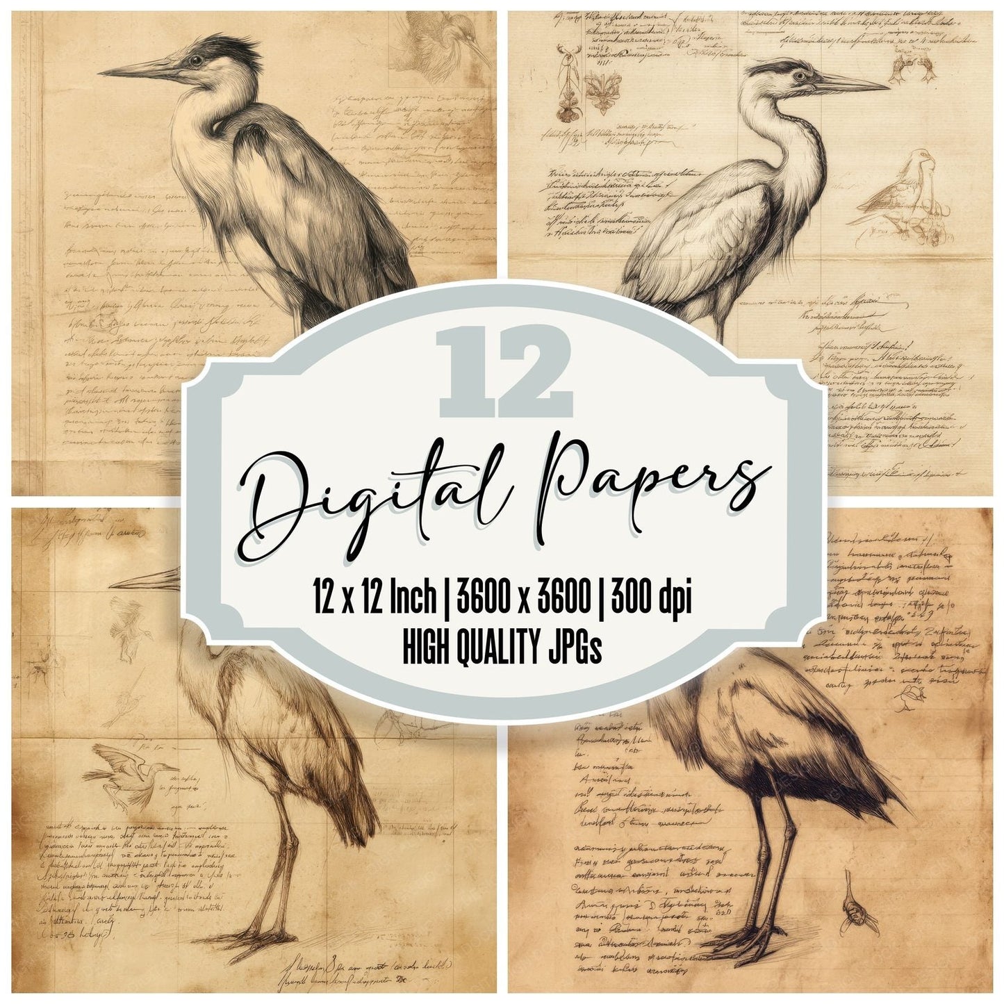 Sketch Heron Field Journal Digital Paper Pack (DDD003575)