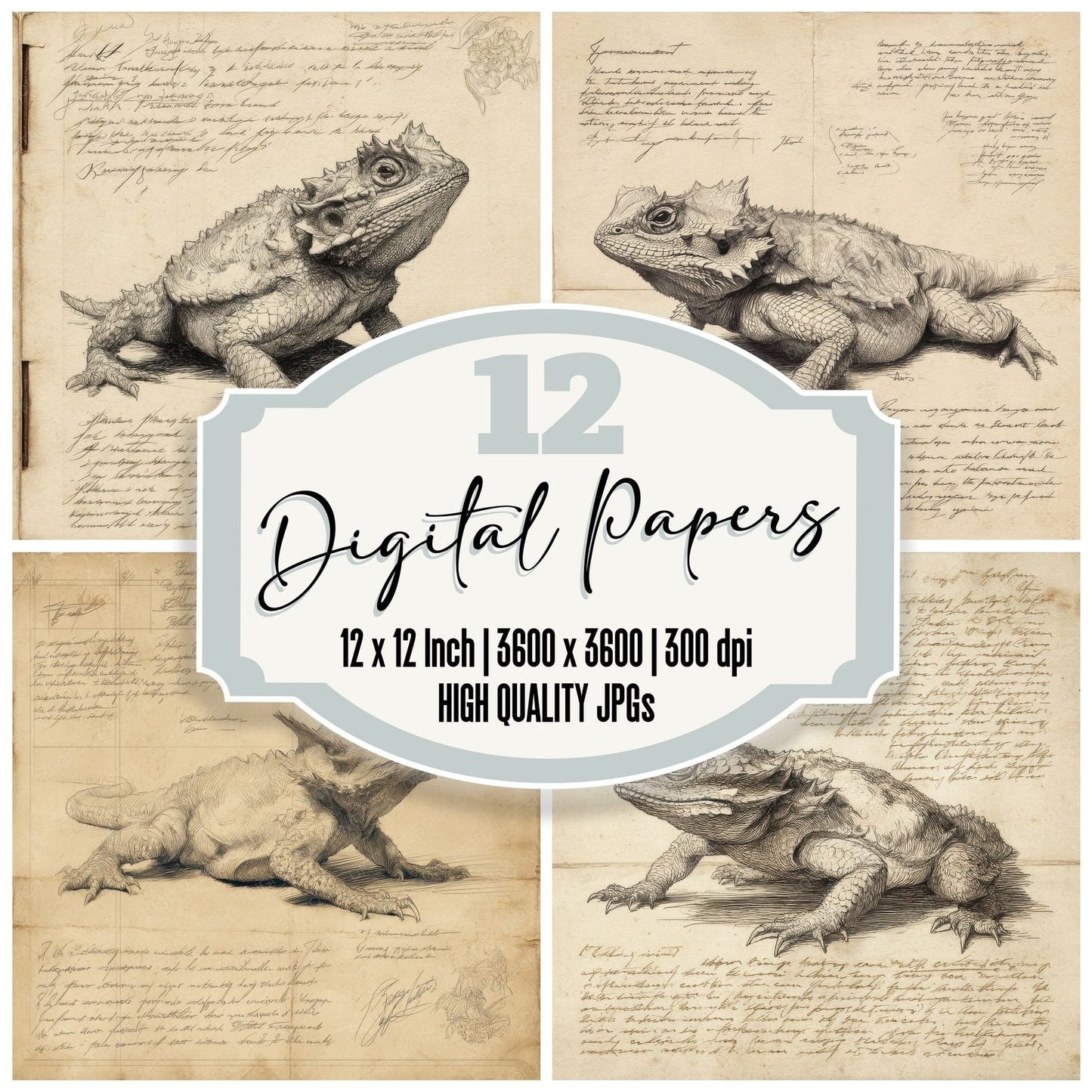 Sketch Horned Lizard Crouch Digital Paper Pack (DDD003579)
