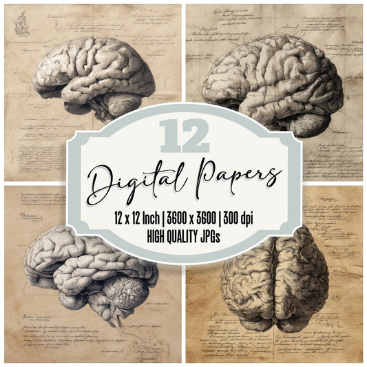 Sketch Human Brain Digital Paper Pack (DDD003580)
