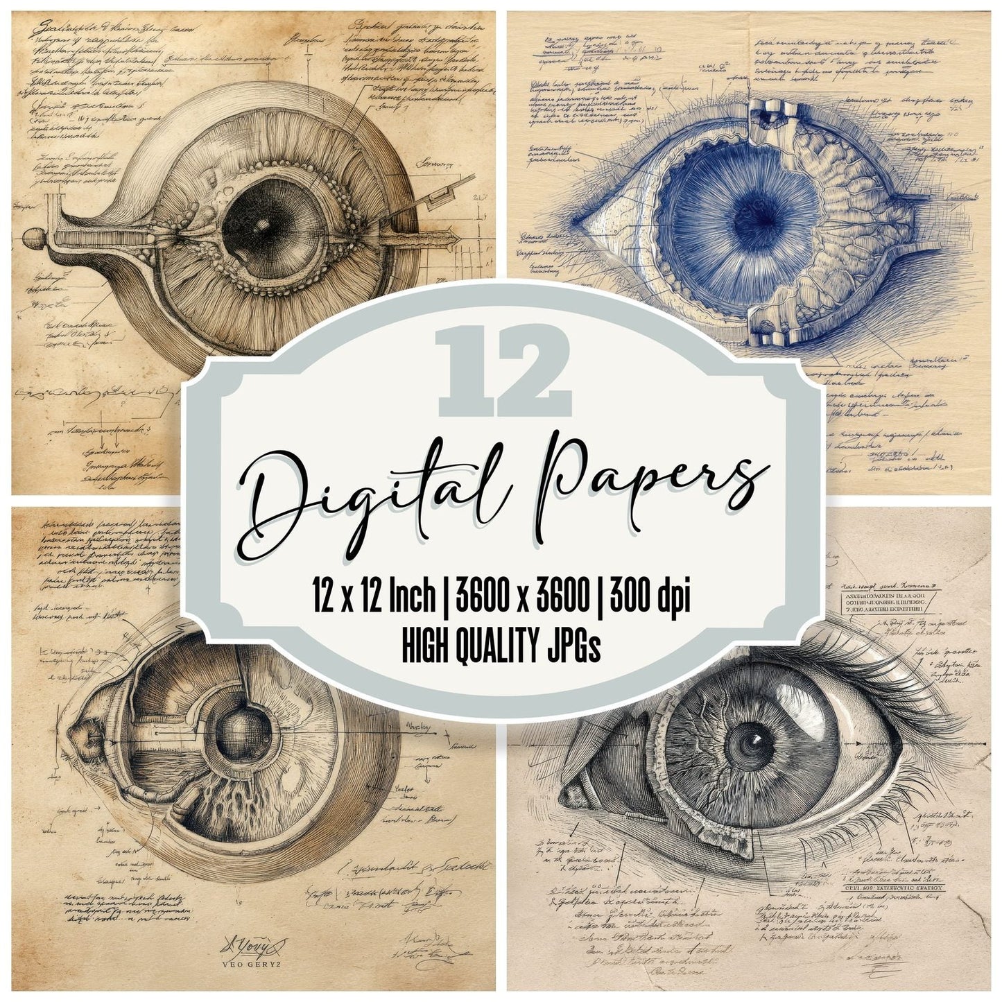 Sketch Human Eye Section Digital Paper Pack (DDD003581)