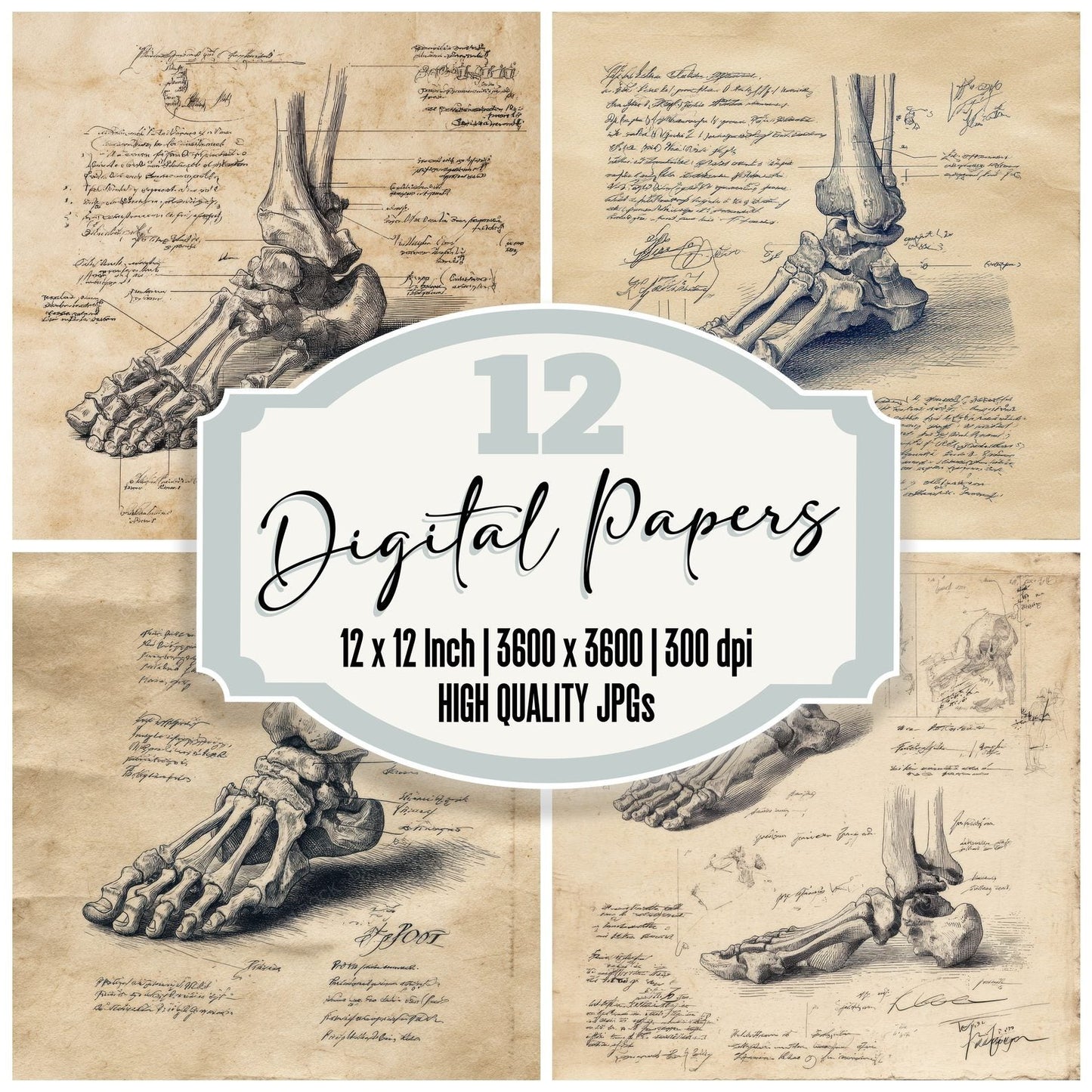Sketch Human Foot Bones Digital Paper Pack (DDD003582)