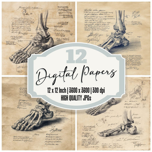 Sketch Human Foot Bones Digital Paper Pack (DDD003582)
