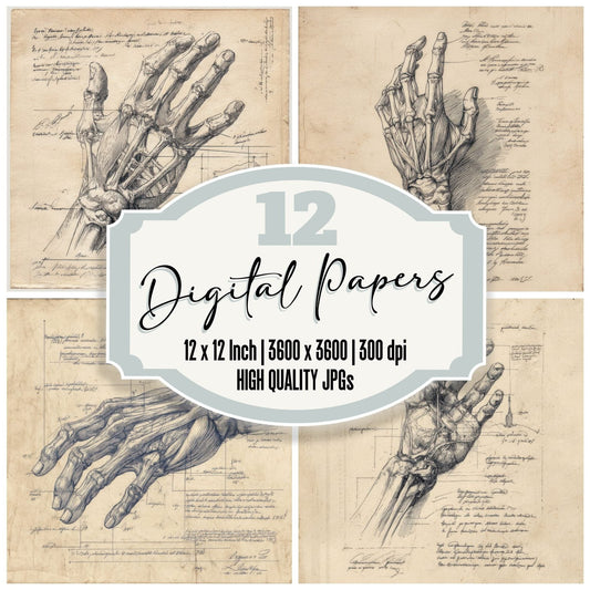Sketch Human Hand Tendons Digital Paper Pack (DDD003583)