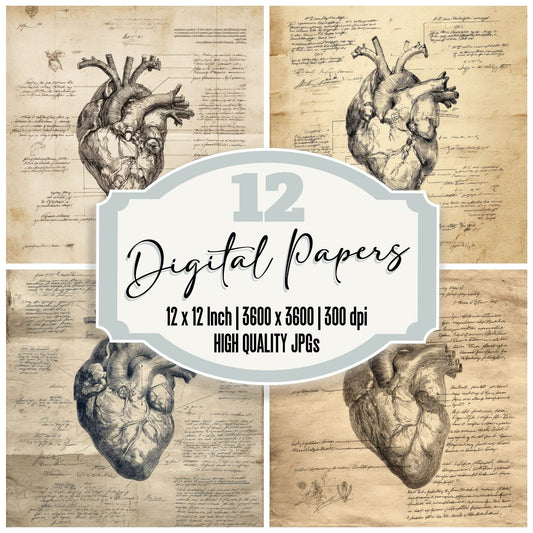 Sketch Human Heart Section Digital Paper Pack (DDD003584)