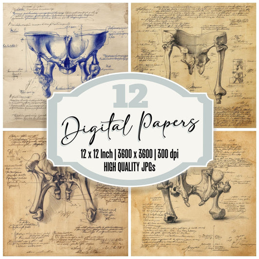 Sketch Human Pelvis Bones Digital Paper Pack (DDD003585)