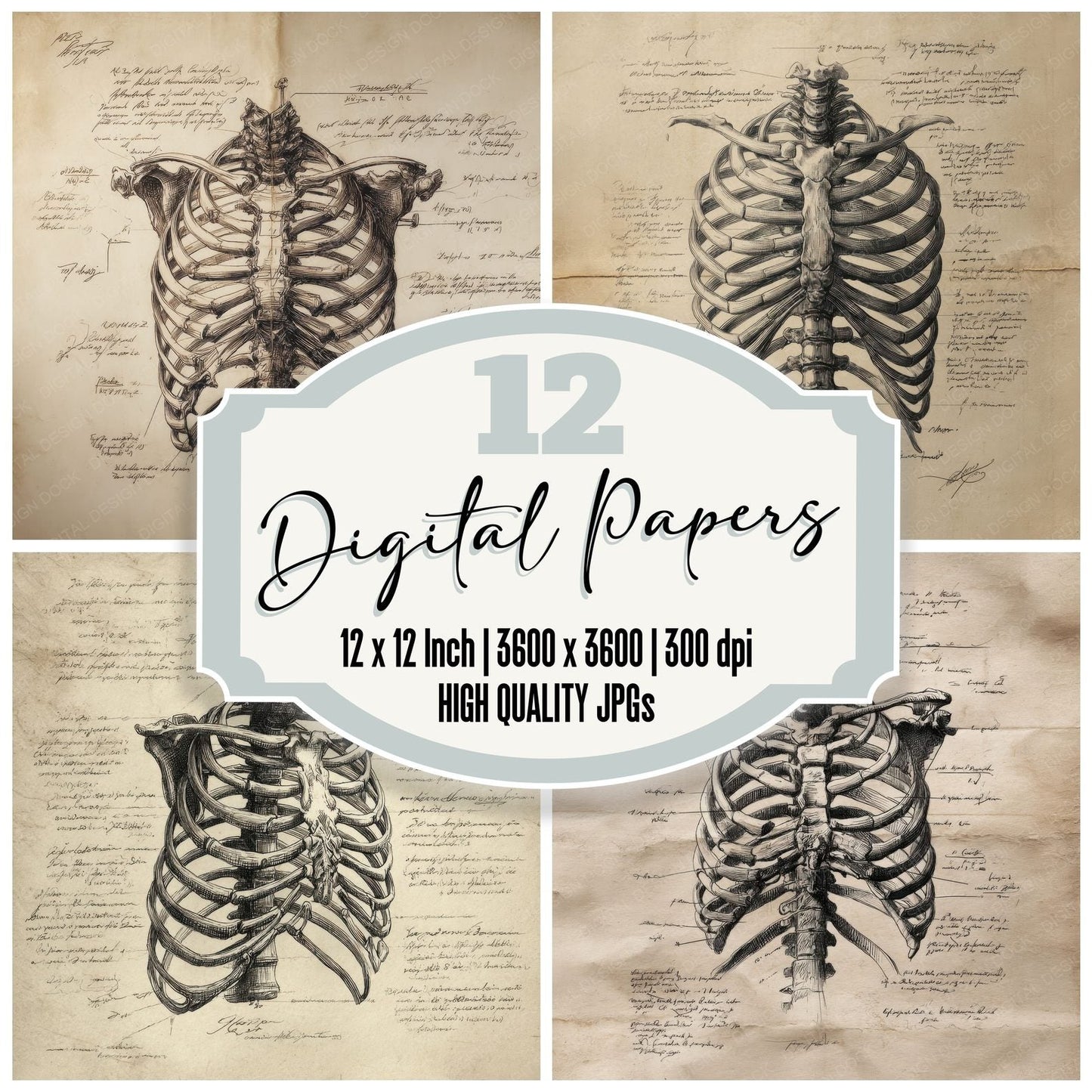 Sketch Human Ribcage Spine Digital Paper Pack (DDD003586)