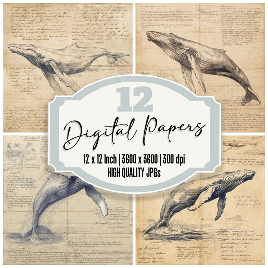 Sketch Humpback Whale Sheet Digital Paper Pack (DDD003588)