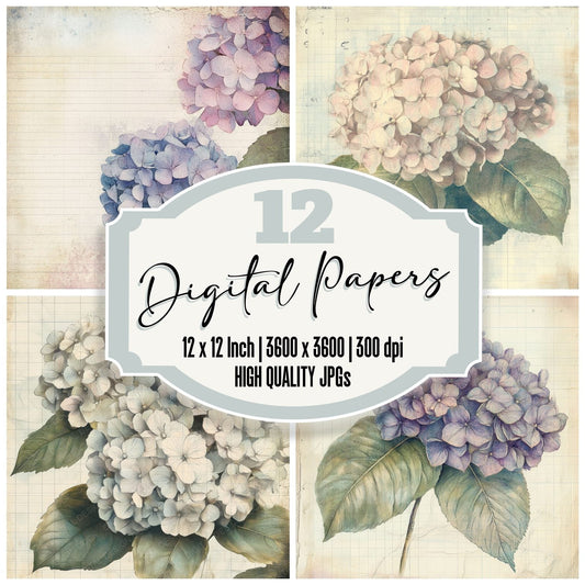 Sketch Hydrangea Colour Digital Paper Pack (DDD003589)