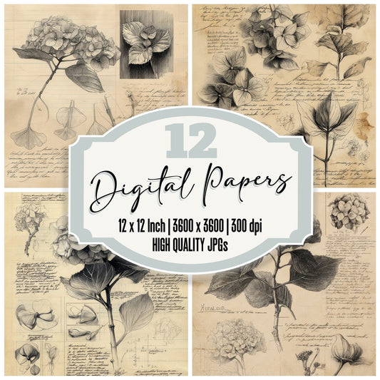 Sketch Hydrangea Petals Detail Digital Paper Pack (DDD003590)