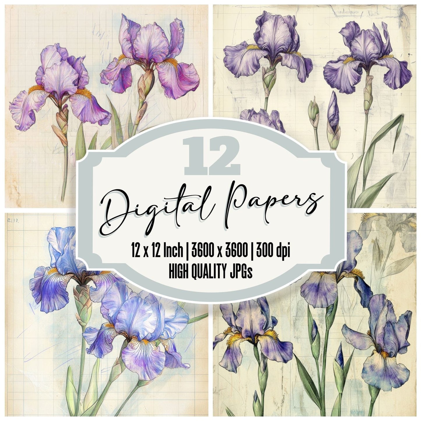 Sketch Iris Colour Digital Paper Pack (DDD003591)