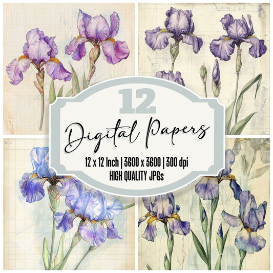 Sketch Iris Colour Digital Paper Pack (DDD003591)