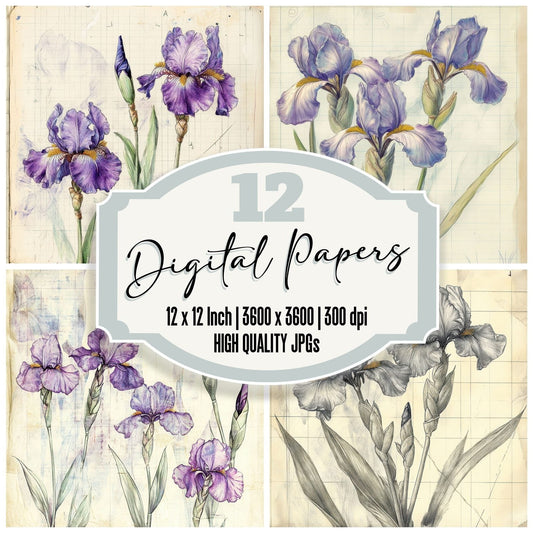 Sketch Iris Notepad Digital Paper Pack (DDD003592)
