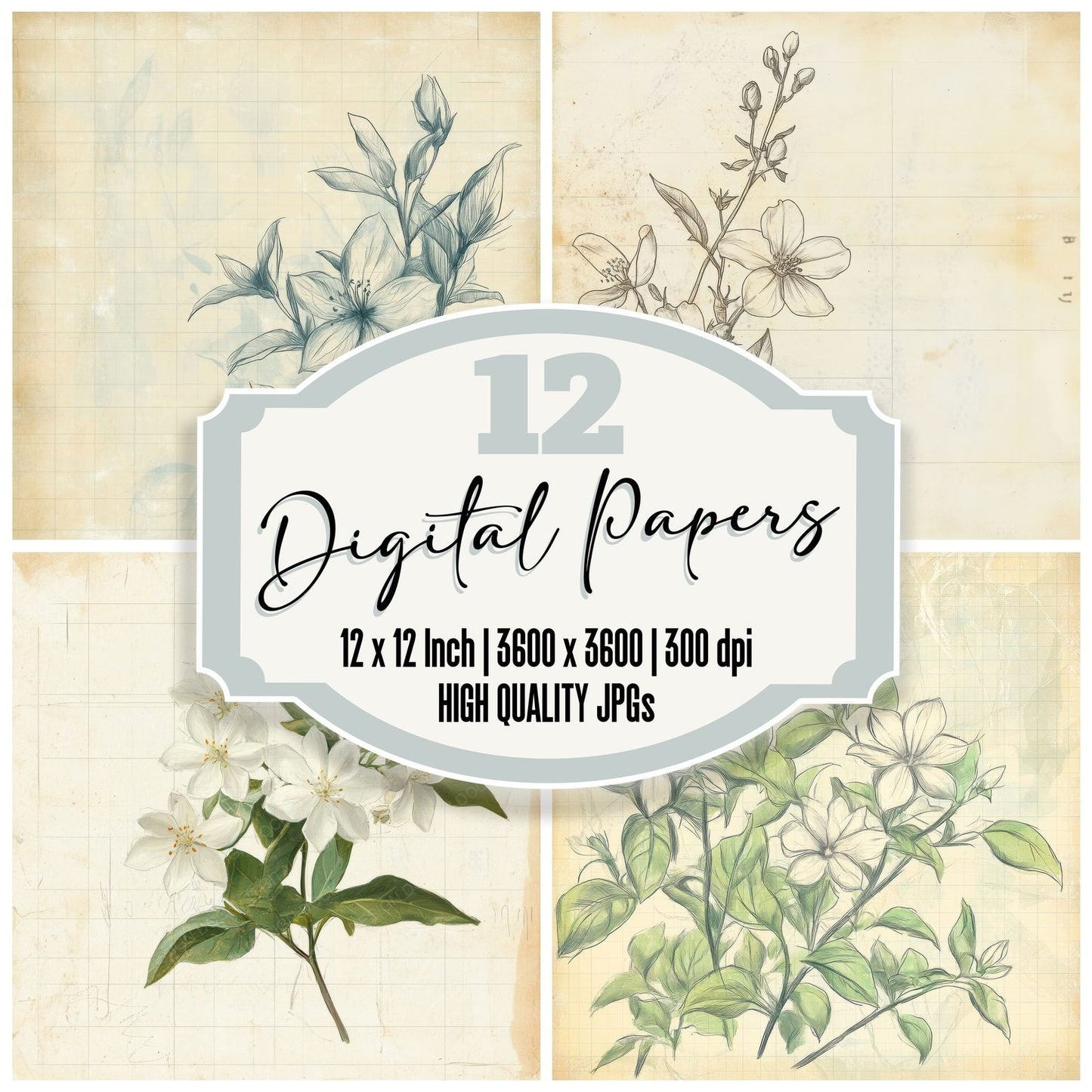 Sketch Jasmine Notepad Digital Paper Pack (DDD003593)