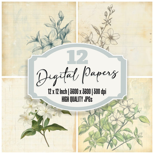 Sketch Jasmine Notepad Digital Paper Pack (DDD003593)