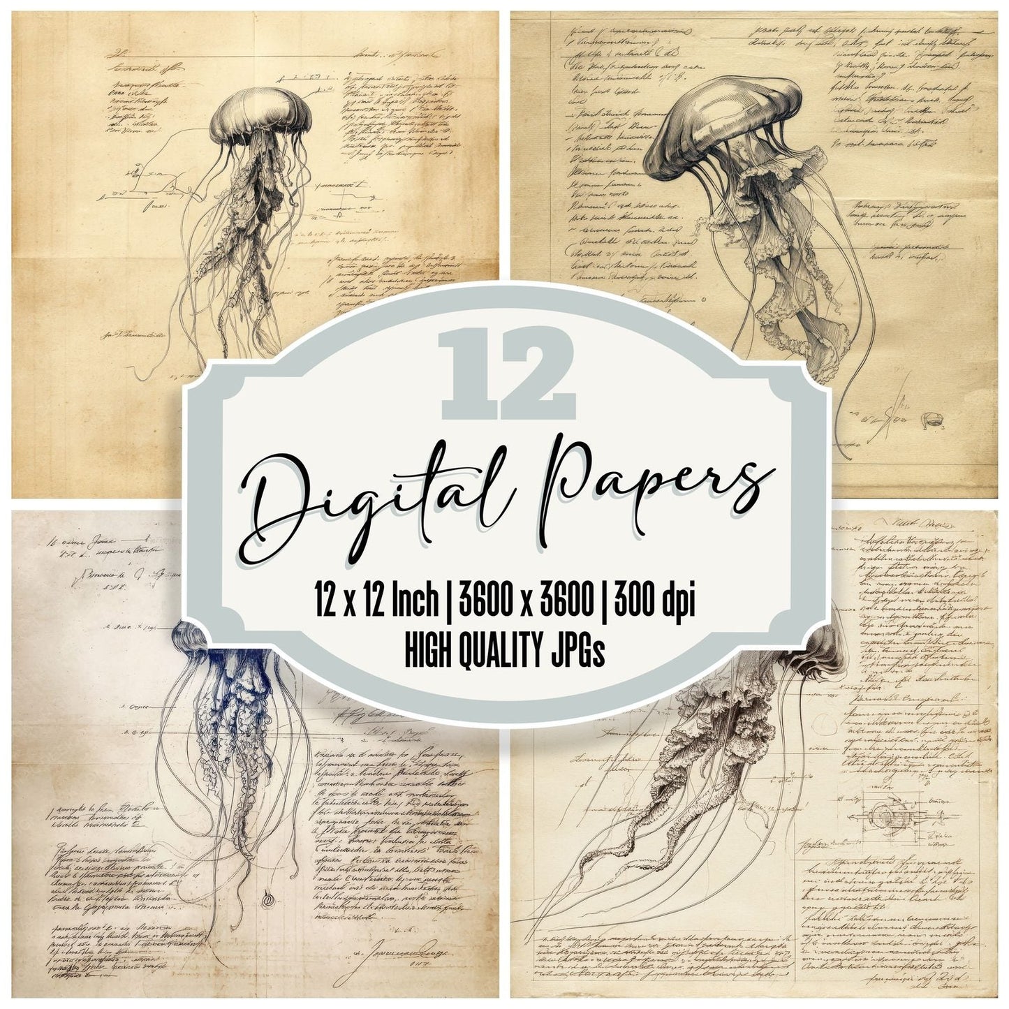 Sketch Jellyfish Anatomy Digital Paper Pack (DDD003594)