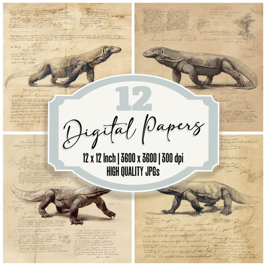 Sketch Komodo Dragon Walk Digital Paper Pack (DDD003597)