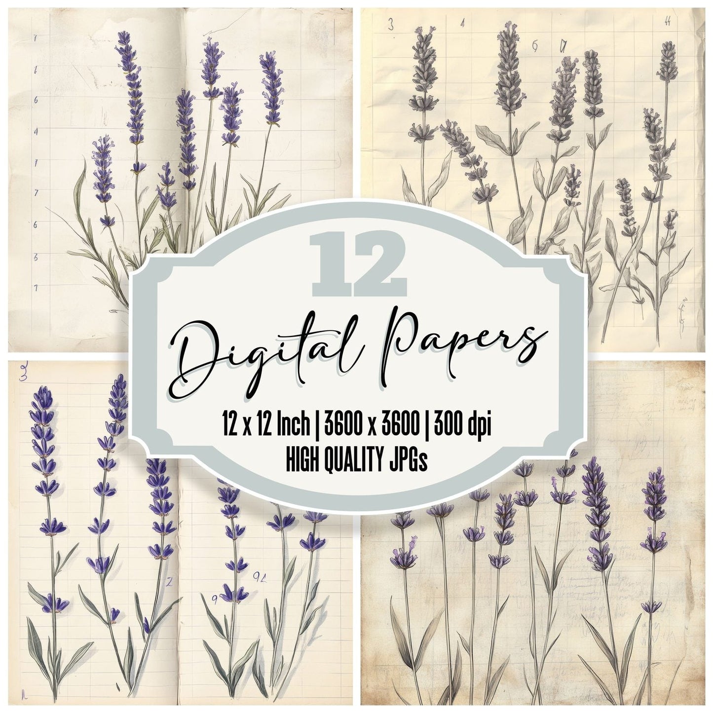 Sketch Lavender Notebook Digital Paper Pack (DDD003599)