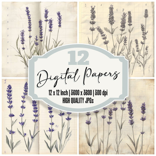 Sketch Lavender Notebook Digital Paper Pack (DDD003599)