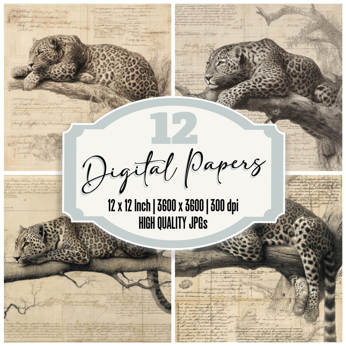 Sketch Leopard Branch Study Digital Paper Pack (DDD003601)