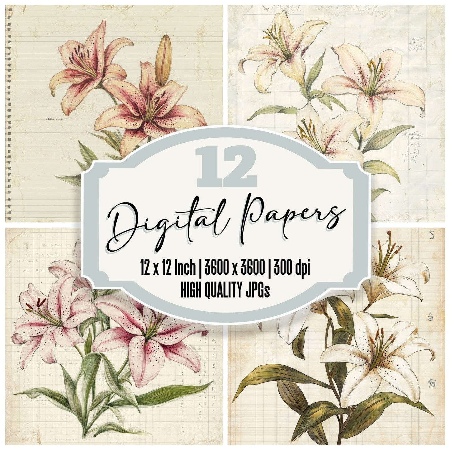 Sketch Lily Colour Digital Paper Pack (DDD003602)