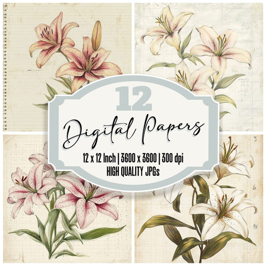 Sketch Lily Colour Digital Paper Pack (DDD003602)