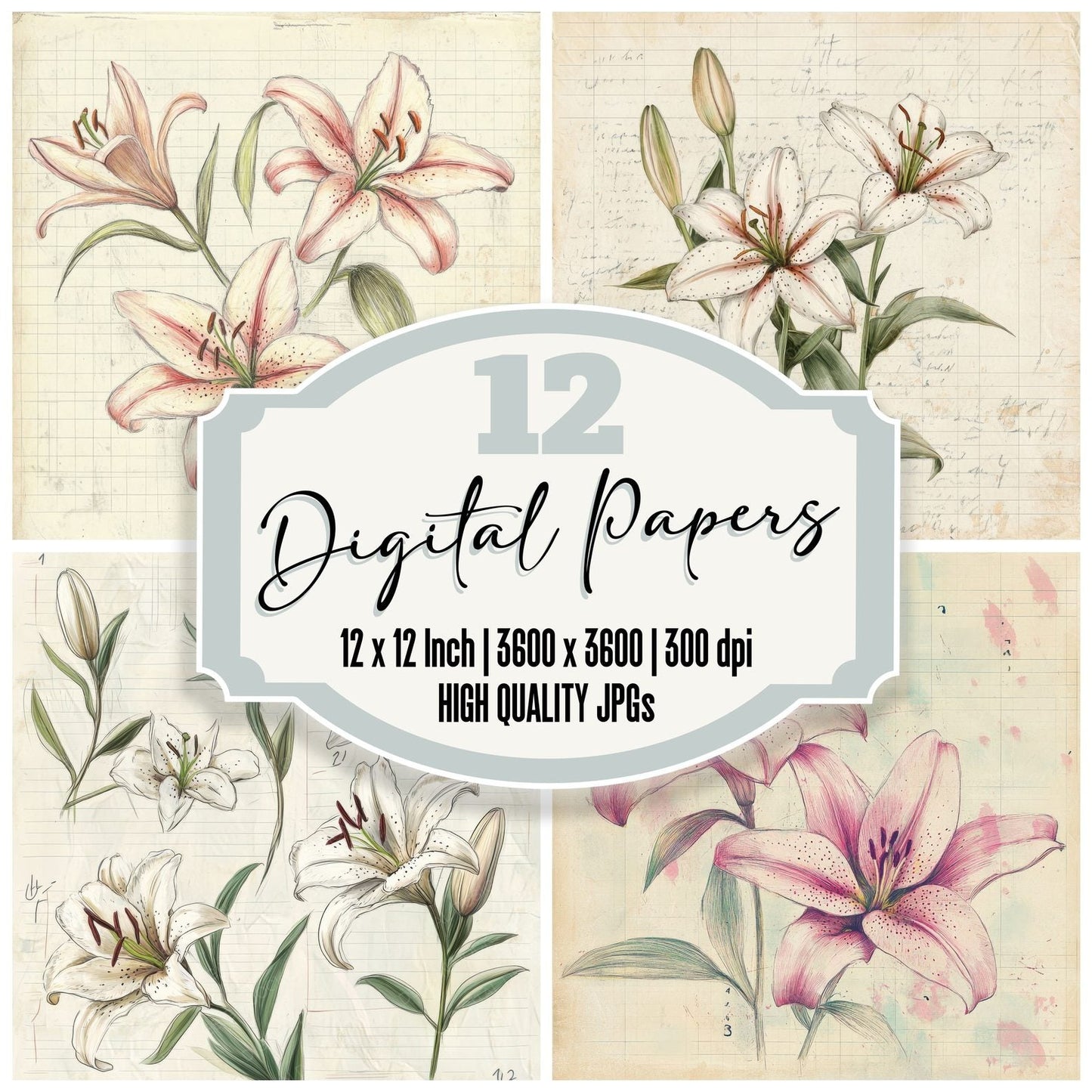 Sketch Lily Notepad Digital Paper Pack (DDD003603)