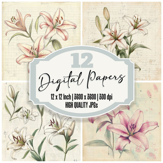 Sketch Lily Notepad Digital Paper Pack (DDD003603)