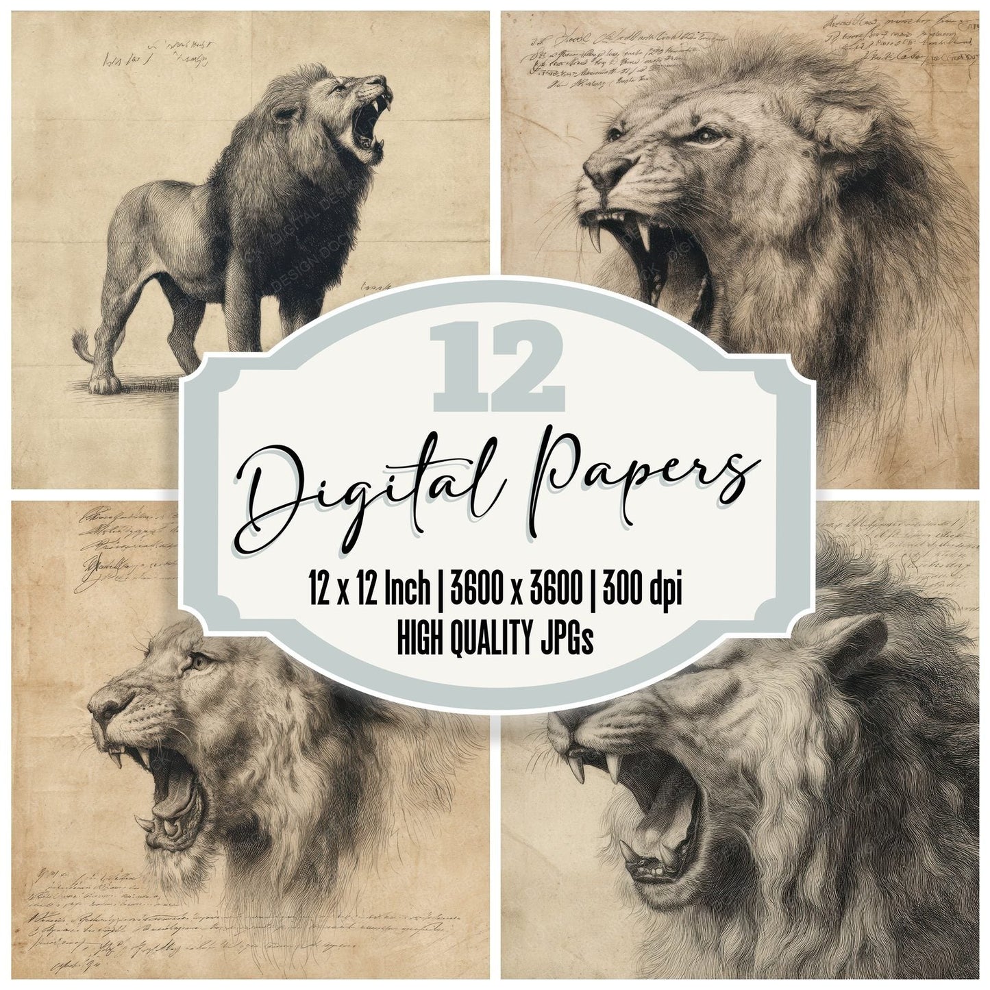 Sketch Lion Roaring Chart Digital Paper Pack (DDD003606)