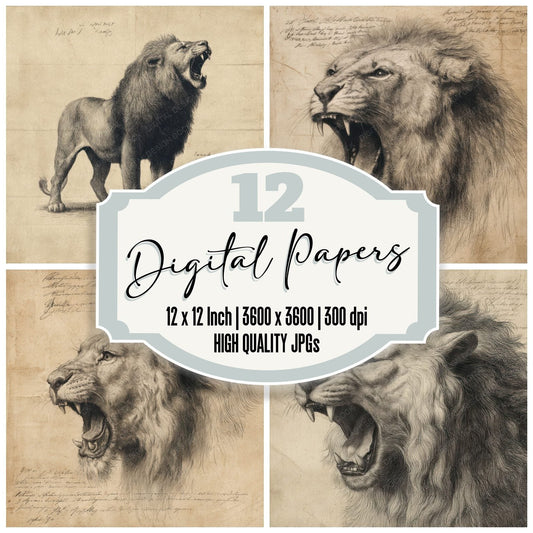 Sketch Lion Roaring Chart Digital Paper Pack (DDD003606)