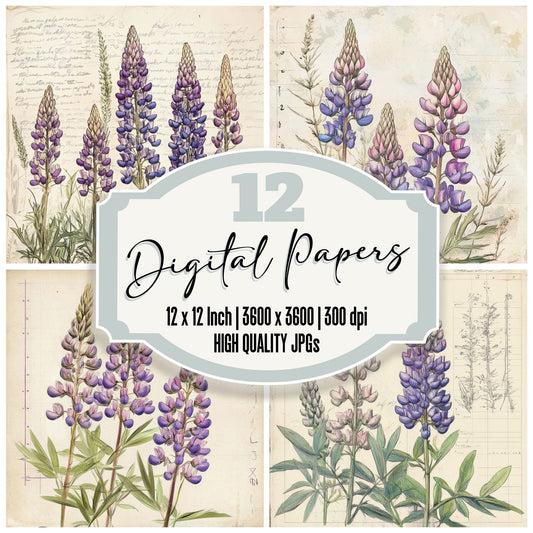 Sketch Lupine Notepad Digital Paper Pack (DDD003608)