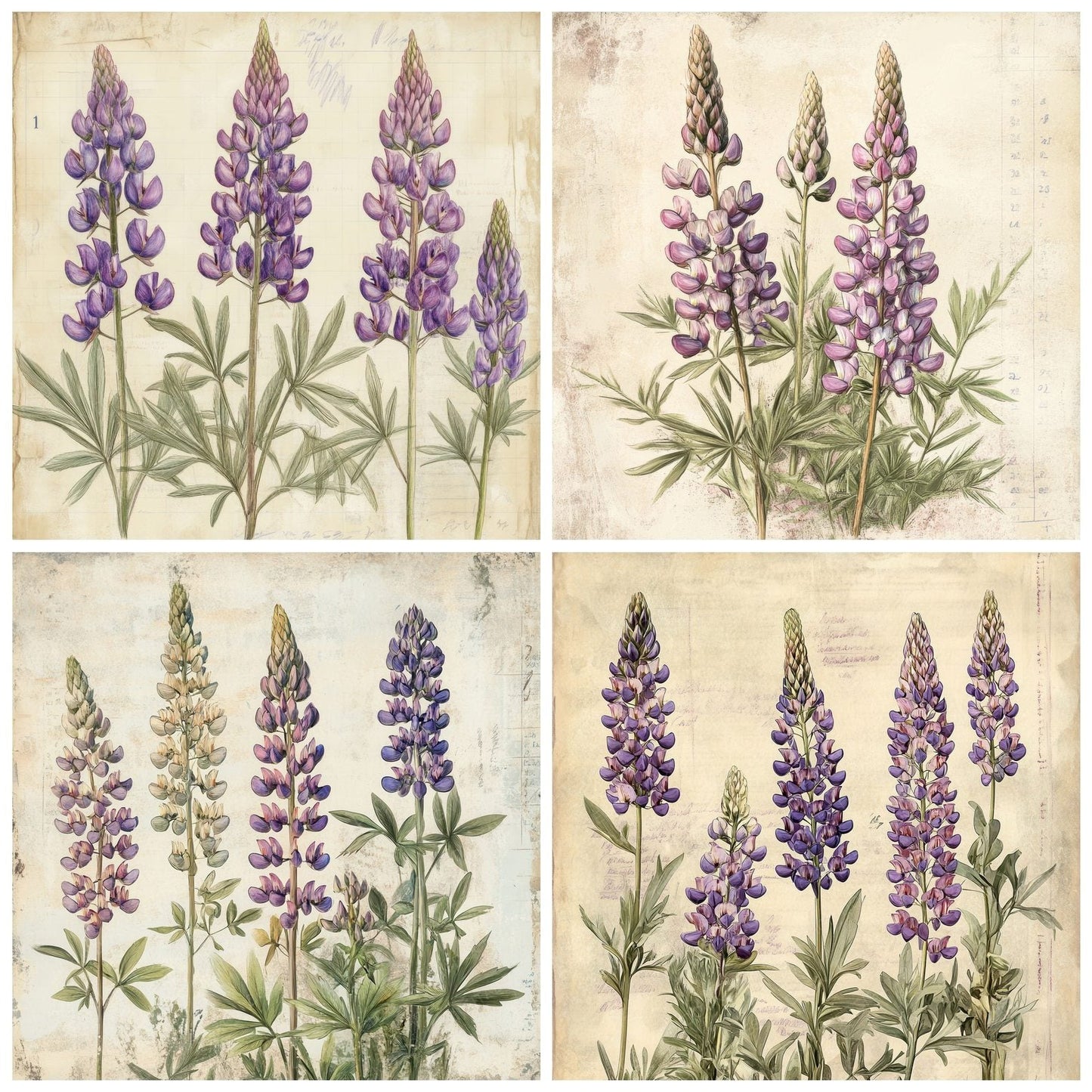 Sketch Lupine Notepad Digital Paper Pack (DDD003608)