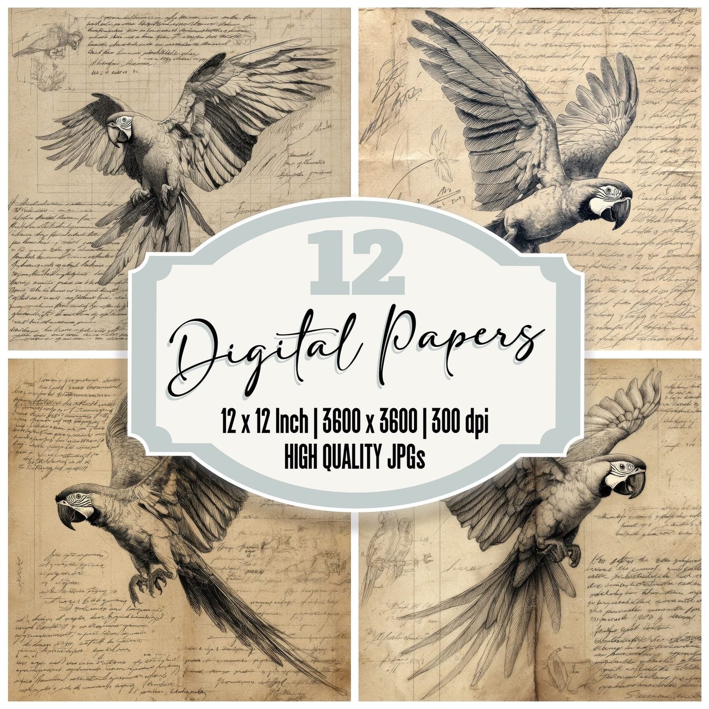 Sketch Macaw Wing Spread Digital Paper Pack (DDD003609)