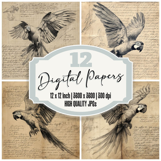 Sketch Macaw Wing Spread Digital Paper Pack (DDD003609)