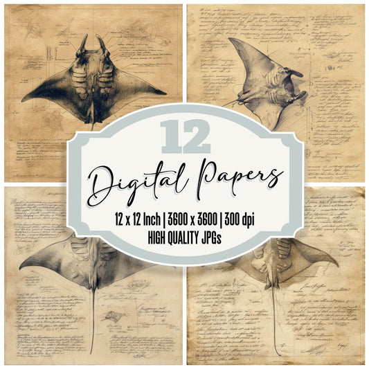 Sketch Manta Ray Sheet Digital Paper Pack (DDD003614)