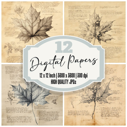 Sketch Maple Leaf Detailed Digital Paper Pack (DDD003615)