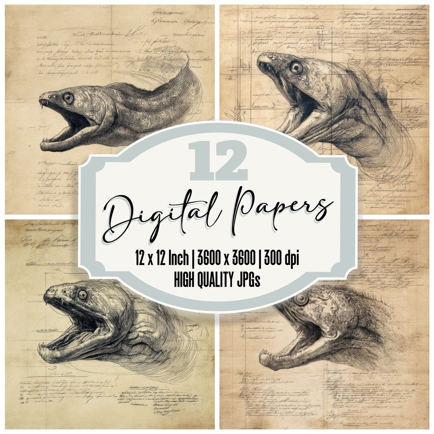 Sketch Moray Eel Sheet Digital Paper Pack (DDD003620)
