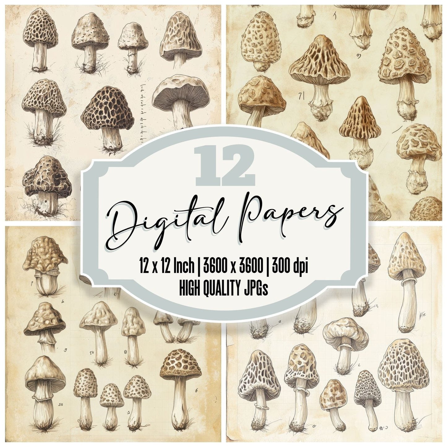 Sketch Morel Notepad Digital Paper Pack (DDD003621)