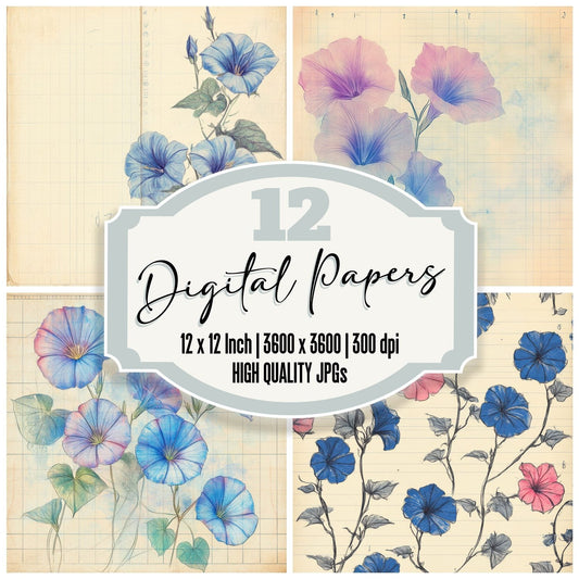 Sketch Morning Glory Notepad Digital Paper Pack (DDD003622)