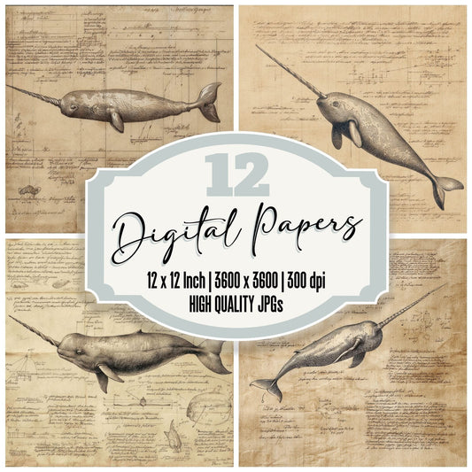 Sketch Narwhal Tusk Study Digital Paper Pack (DDD003623)