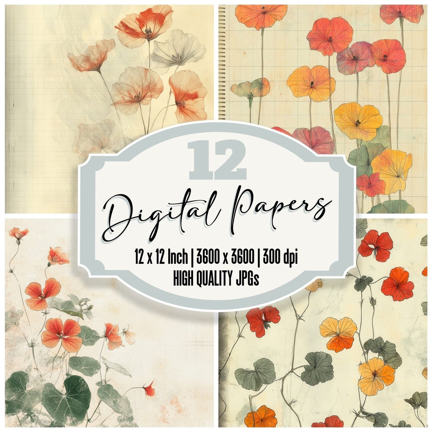 Sketch Nasturtium Notepad Digital Paper Pack (DDD003624)