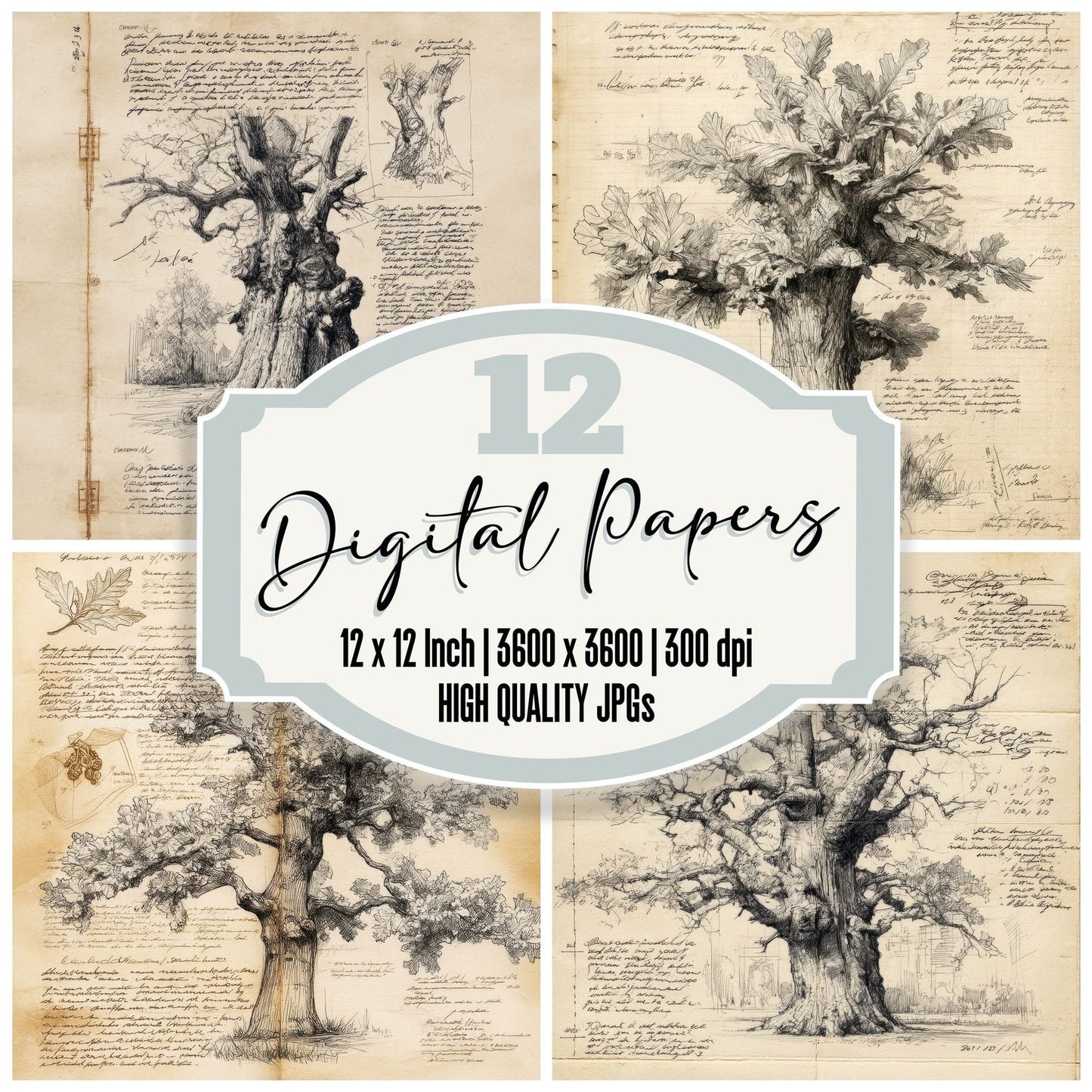 Sketch Oak Tree Branches Digital Paper Pack (DDD003625)