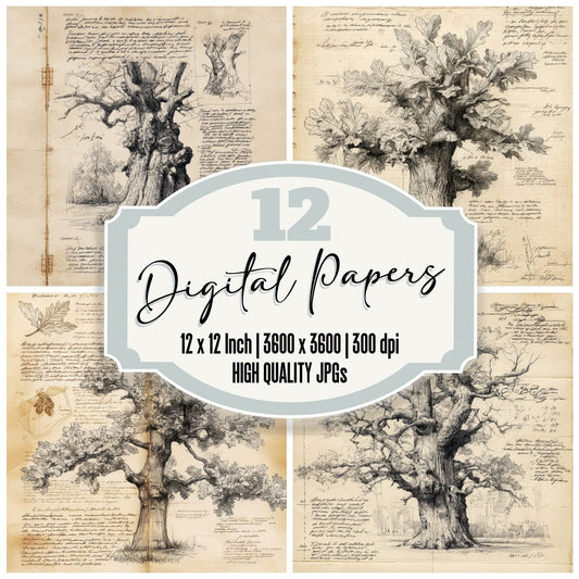 Sketch Oak Tree Branches Digital Paper Pack (DDD003625)