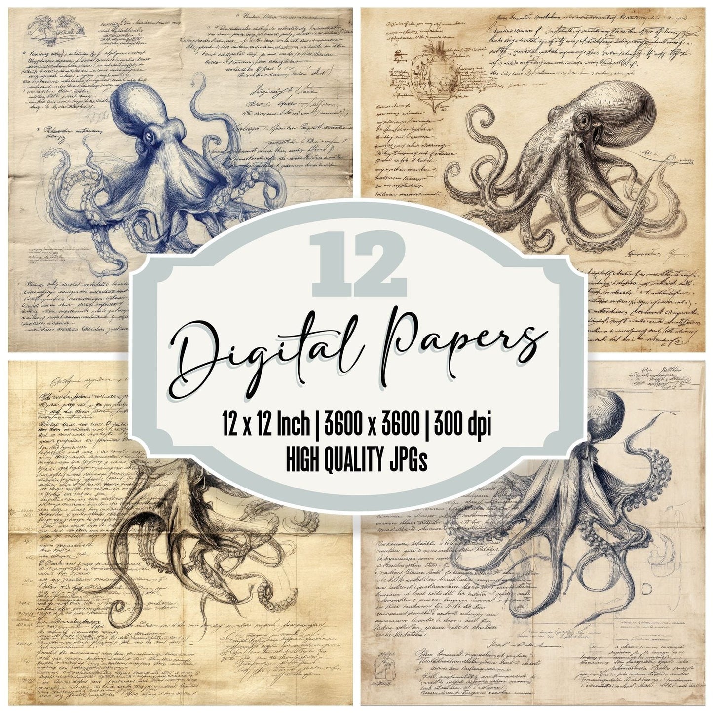 Sketch Octopus Anatomy Digital Paper Pack (DDD003626)