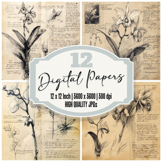 Sketch Orchid Bloom Study Digital Paper Pack (DDD003628)