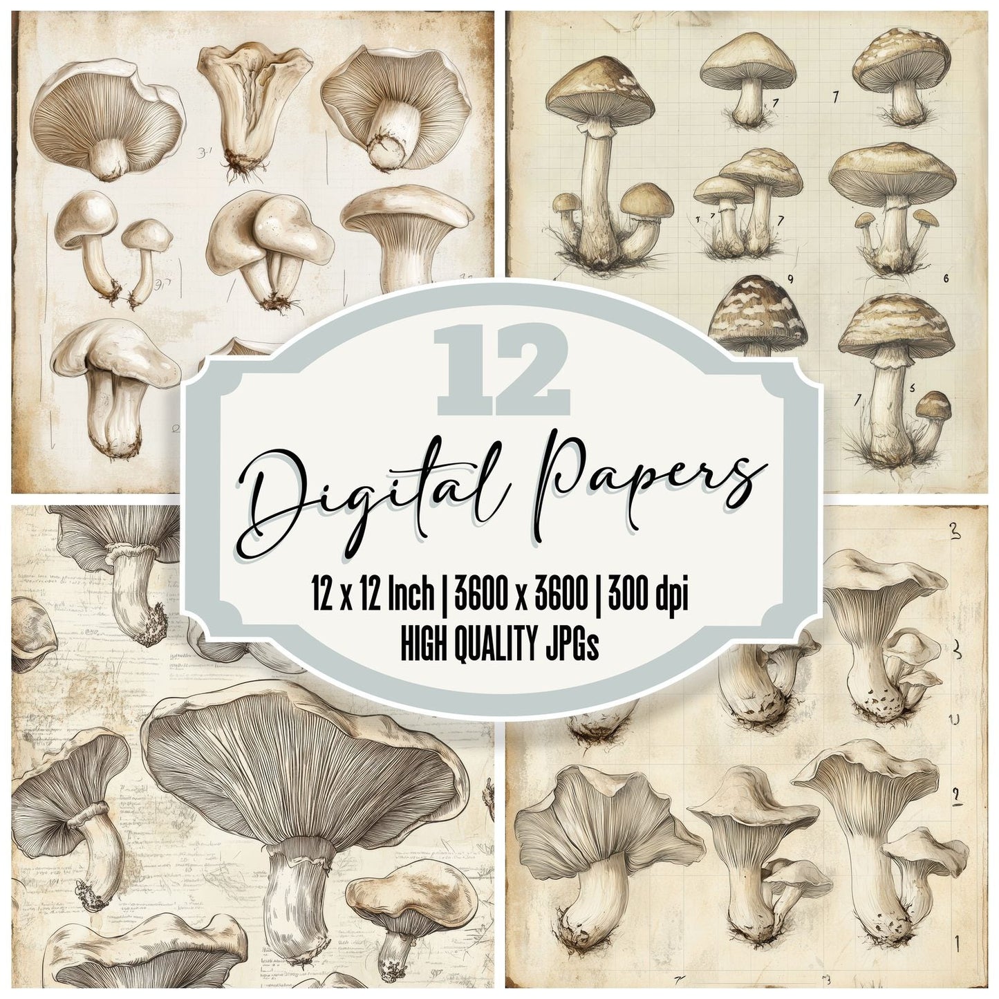 Sketch Oyster Mushroom Notepad Digital Paper Pack (DDD003629)