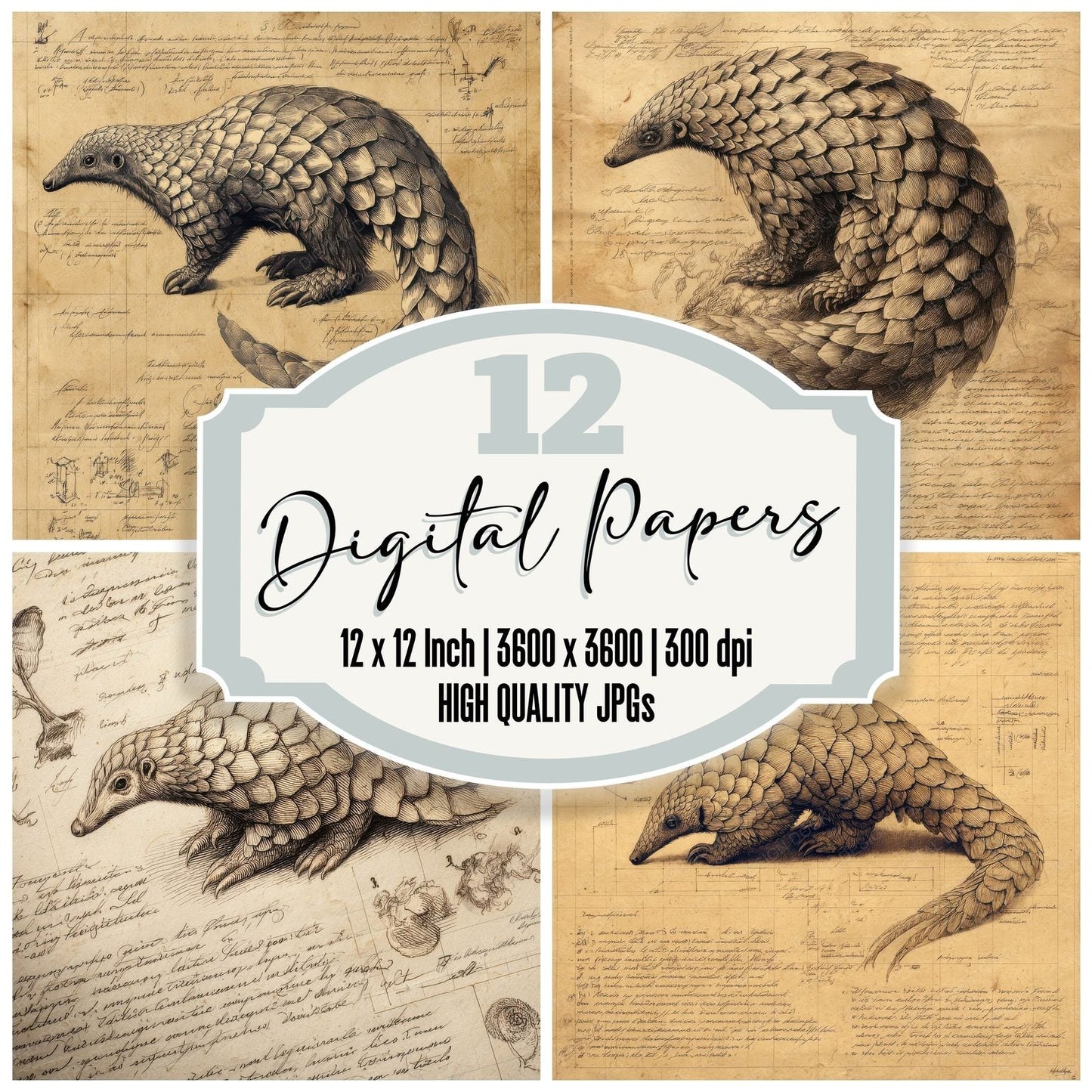 Sketch Pangolin Overhead Sheet Digital Paper Pack (DDD003630)