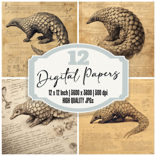 Sketch Pangolin Overhead Sheet Digital Paper Pack (DDD003630)